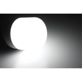LED Lampe McShine BIG50 E27 50W 4600lm 138x254mm neutralweiß