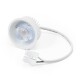 LED-Modul McShine MCOB 5W 400 Lumen 230V 50x25mm neutralweiß 4000K