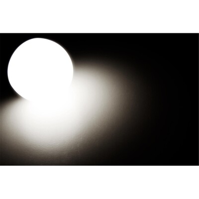 LED Renovierleuchte McShine 12W 1.050lm 220° 4000K inkl. Aufhänger