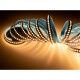 LED-Stripe McShine 1700lm/m 204LEDs/m 16W/m 3000K IP20 5m Rolle
