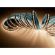 LED-Stripe McShine 1700lm/m 204LEDs/m 16W/m 4000K IP20 5m Rolle