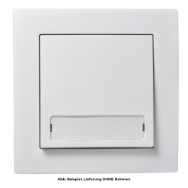 Taster McPower Flair mit Namensschild 250V~/10A UP...