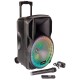 Mobile Beschallungsanlage PARTY PARTY-12RGB 700W Bluetooth LED-Beleuchtung