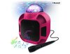 Bluetooth Karaoke- Lautsprecher mit Mikrofon,12000mAh Akku Mini USB AUX Pink