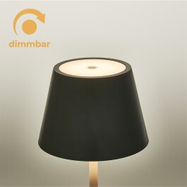 LED-Tischleuchte ROLF KERN „Club“ 38cm Basaltgrau Akku dimmbar