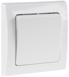 DELPHI Wechsel-Schalter 250V~/ 10A inkl. Rahmen UP...
