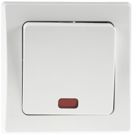 DELPHI Kontroll-Schalter mit Lämpchen 250V~/ 10A...