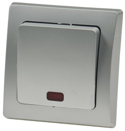 DELPHI Kontroll-Schalter mit Lämpchen 250V~/ 10A...