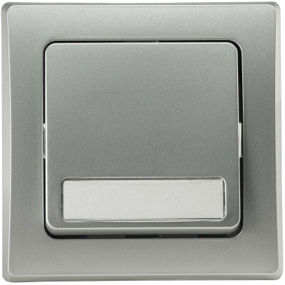 DELPHI Taster mit Namensschild 0-250V~/ 10A inkl. Rahmen UP silber