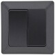 MILOS Serien-Schalter 2-fach Anthrazit 250V~/ 10A inkl. Rahmen UP
