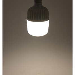 LED Jumbo Lampe E27 50W G500n 4538lm 4000K,neutralweiß ØxH 12x21,5cm