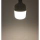 LED Jumbo Lampe E27 50W G500n 4538lm 4000K,neutralweiß ØxH 12x21,5cm