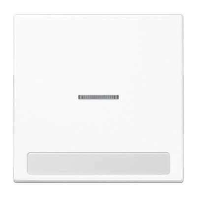 JUNG LS 990 NAKO5 WW Wippe mit Schriftfeld alpinwweiß