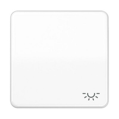 JUNG CD 590 L WW WIPPE SYMBOL LICHT