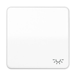 JUNG CD 590 L WW WIPPE SYMBOL LICHT