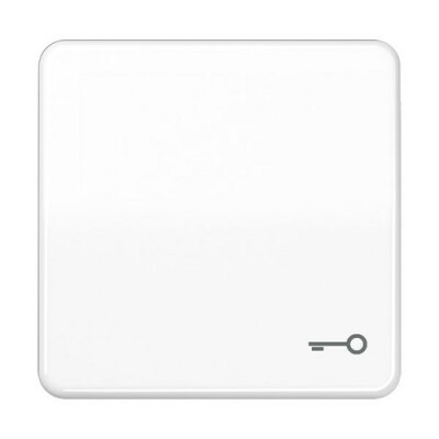 JUNG CD 590 T WW WIPPE SYMBOL TUER