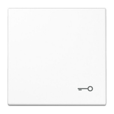 JUNG LS 990 T WW WIPPE SYMBOL TUER