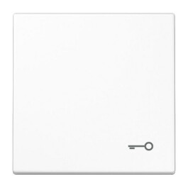 JUNG LS 990 T WW WIPPE SYMBOL TUER