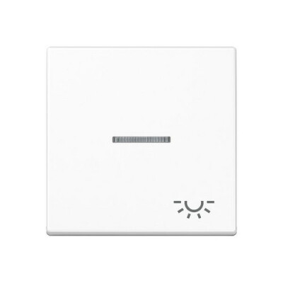 JUNG A 590 KO5 L WW Wippe mit Symbol Licht