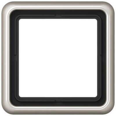 JUNG CD 581 PT RAHMEN 1-FACH PLATIN