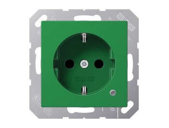 JUNG A 1520 BFKO GN SCHUKO-Steckdose mit Funktionsanzeige