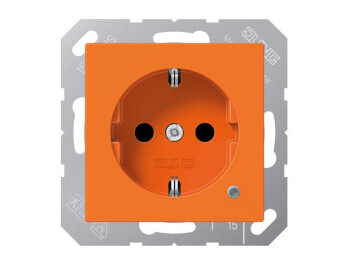 JUNG A 1520 BFKO O SCHUKO-Steckdose mit Funktionsanzeige