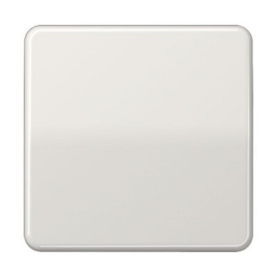 JUNG CD 590 LG WIPPE WECHSELSCHALTER