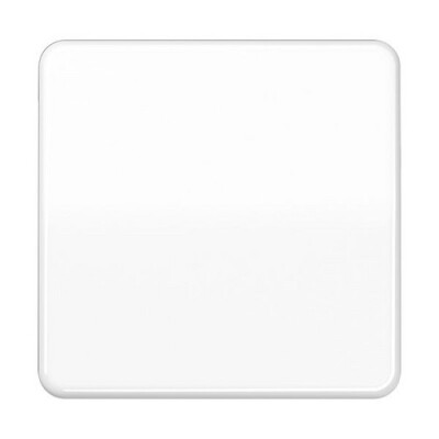 JUNG CD 590 BF WW WIPPE AUS-WECHSEL ALPINWS