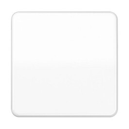 JUNG CD 590 BF WW WIPPE AUS-WECHSEL ALPINWS