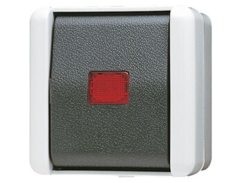 JUNG 806 KOW AUS-WECHELKONTROLLSCHALTER