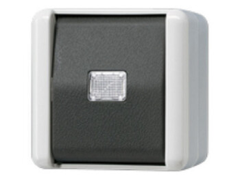 JUNG 831 W TASTER 1-POLIG