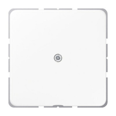 JUNG CD 590 A WW LEITUNGSAUSSLASS reinweiss