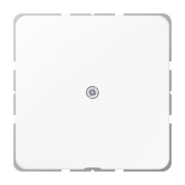 JUNG CD 590 A WW LEITUNGSAUSSLASS reinweiss