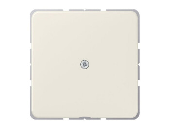 JUNG 590 A LEITUNGSAUSSLASS weiss