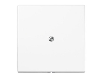 JUNG LS 990 A WW LEITUNGSAUSSLASS reinweiss