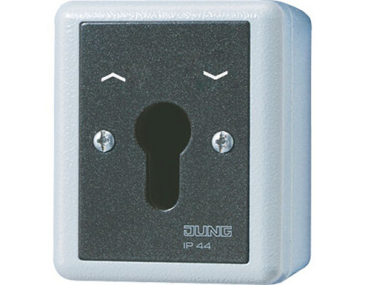 JUNG 834.28 G SCHLUESSEL-TASTER 10A 250V