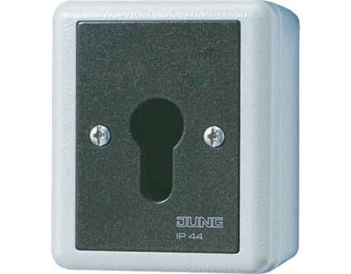JUNG 833.18 G SCHLUESSEL-TASTER 10A 250V