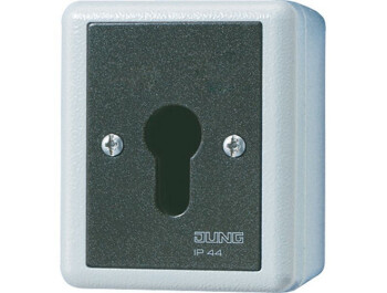 JUNG 833.18 G SCHLUESSEL-TASTER 10A 250V