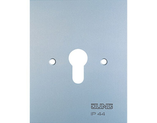 JUNG 6.28 WU G METALL-ABDECKUNG 125X100MM