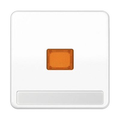 JUNG CD 590 NAKO WW WIPPE KONTROLLSCHALTER ALPWS