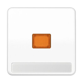 JUNG CD 590 NAKO WW WIPPE KONTROLLSCHALTER ALPWS