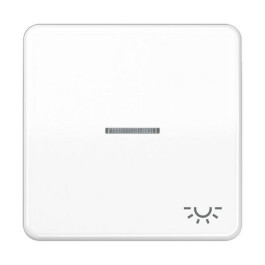 JUNG CD 590 KO5L WW FLAECHENWIPPE