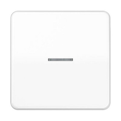 JUNG CD 590 KO5 WW FLAECHENWIPPE