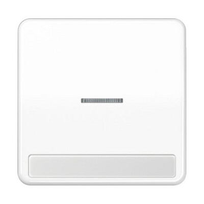 JUNG CD 590 NAKO5 WW FLAECHENWIPPE