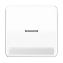 JUNG CD 590 NAKO5 WW FLAECHENWIPPE