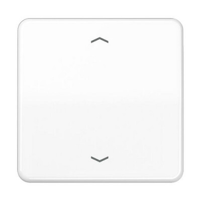 JUNG CD 590 P WW WIPPE FUER TASTER BA