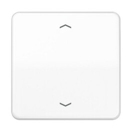 JUNG CD 590 P WW WIPPE FUER TASTER BA