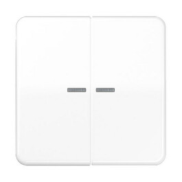 JUNG CD 595 KO5 WW WIPPE FUER TASTER BA