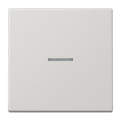 JUNG LS 990 KO5 LG FLAECHENTASTER