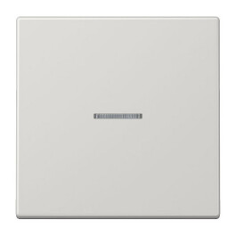 JUNG LS 990 KO5 LG FLAECHENTASTER